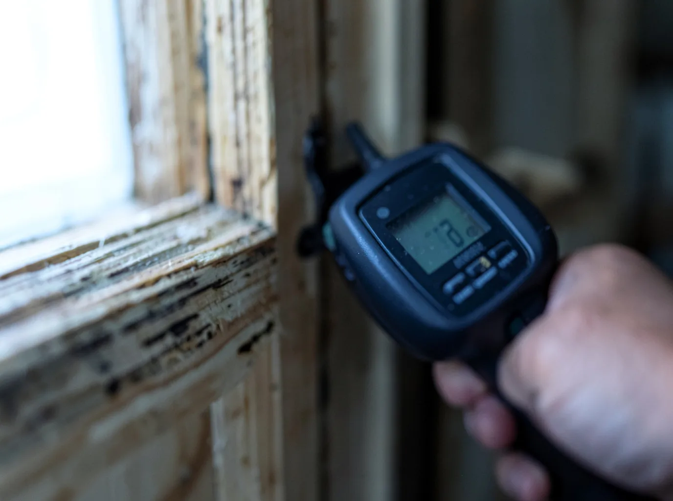 Moisture Inspection And Documentation in Ada, MI
